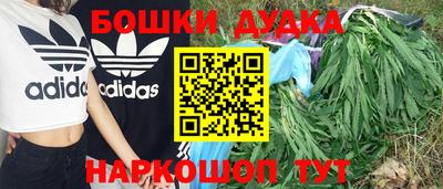 дмт Канаш
