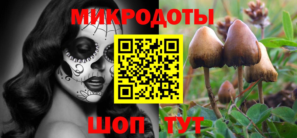 Псилоцибиновые грибы мицелий Чистополь