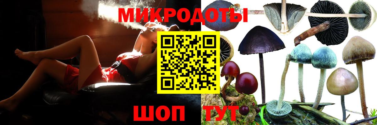 Чистополь  где купить наркоту  Псилоцибиновые грибы прущие грибы  Вход с VPN  Псилоцибиновые грибы GOLDEN TEACHER 